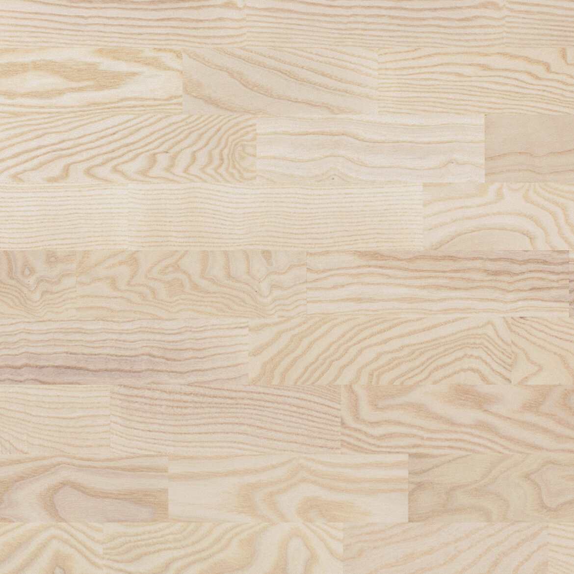 3 Strip Ash Elite White Matt Lacquered Gloss 15-20% AA2665